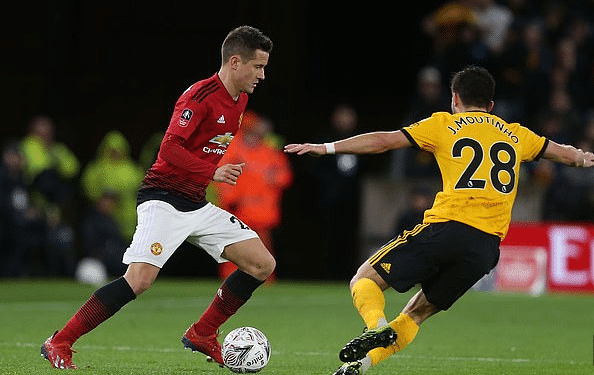 球迷情感的 球迷情感的